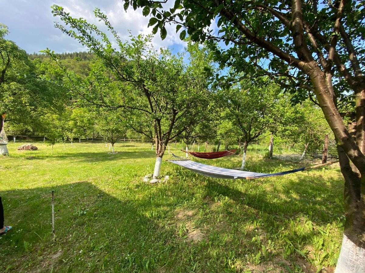 Casa Carbunaru Tîrgu Ocna 外观 照片