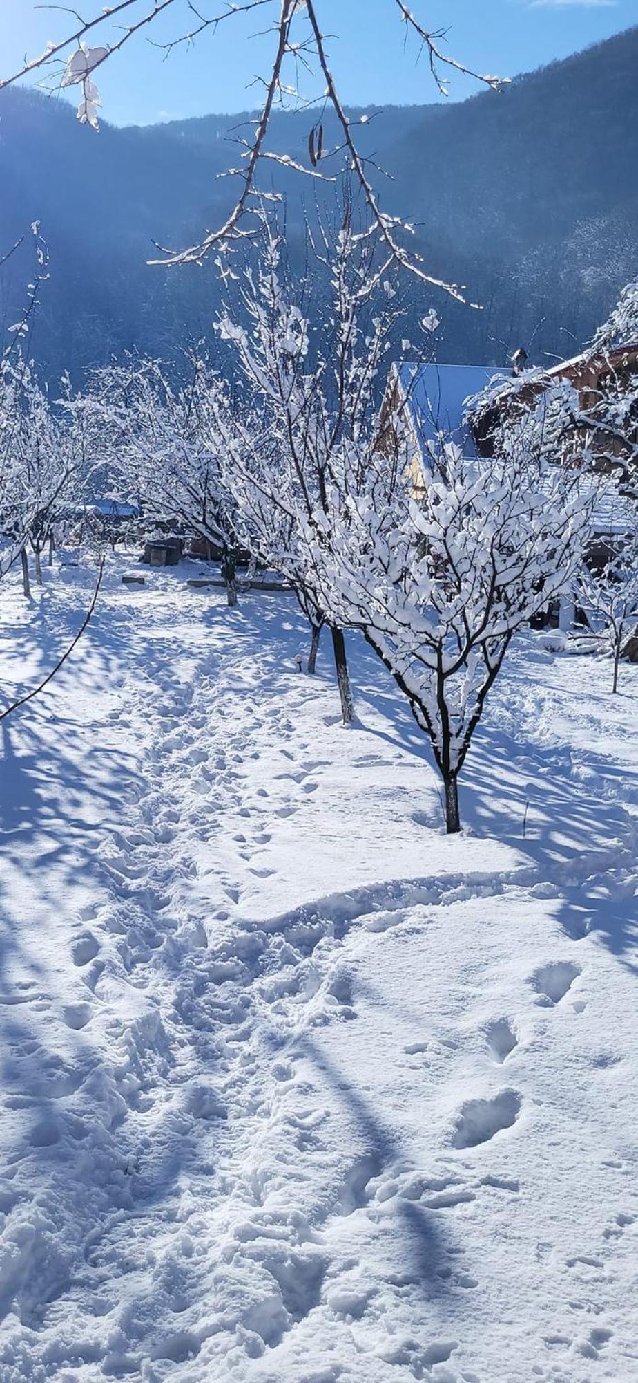 Casa Carbunaru Tîrgu Ocna 外观 照片
