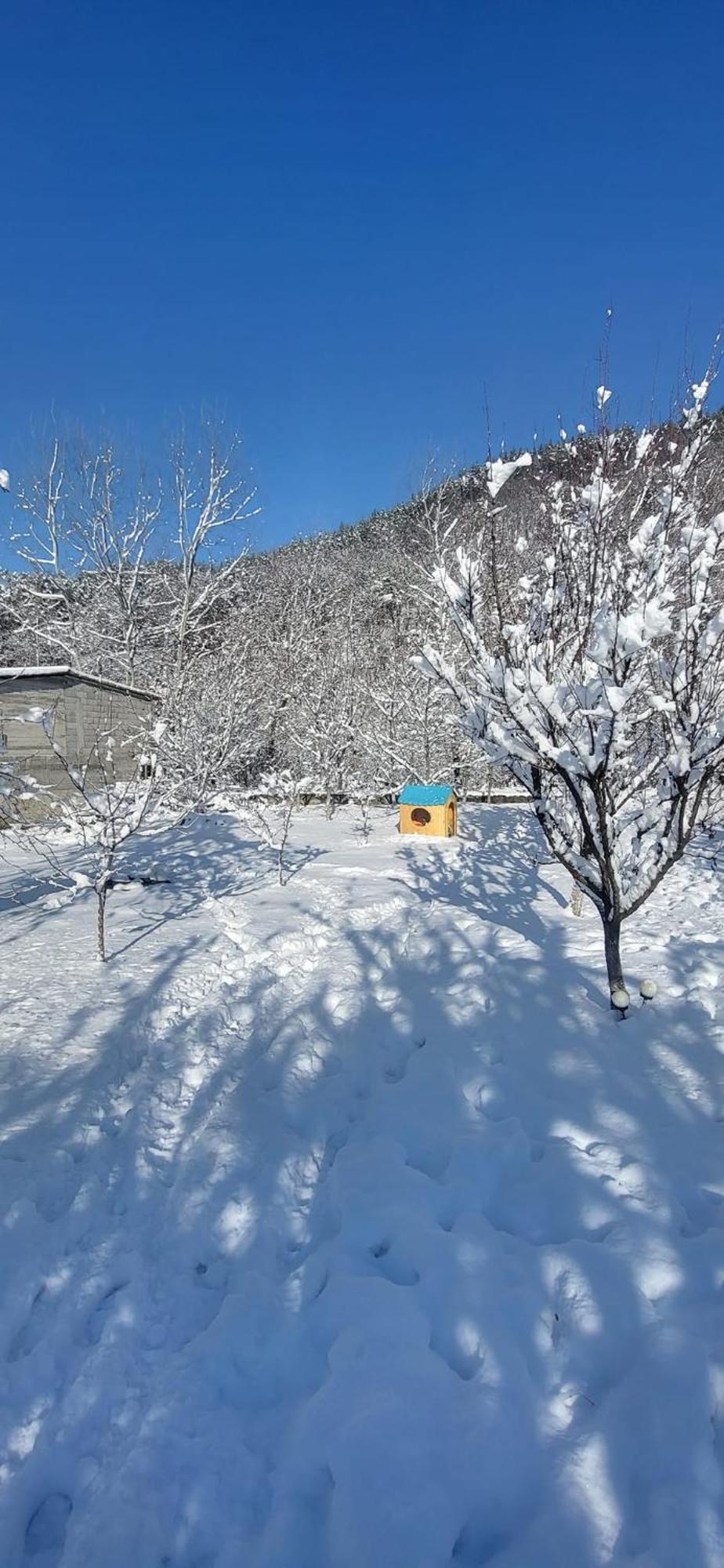Casa Carbunaru Tîrgu Ocna 外观 照片