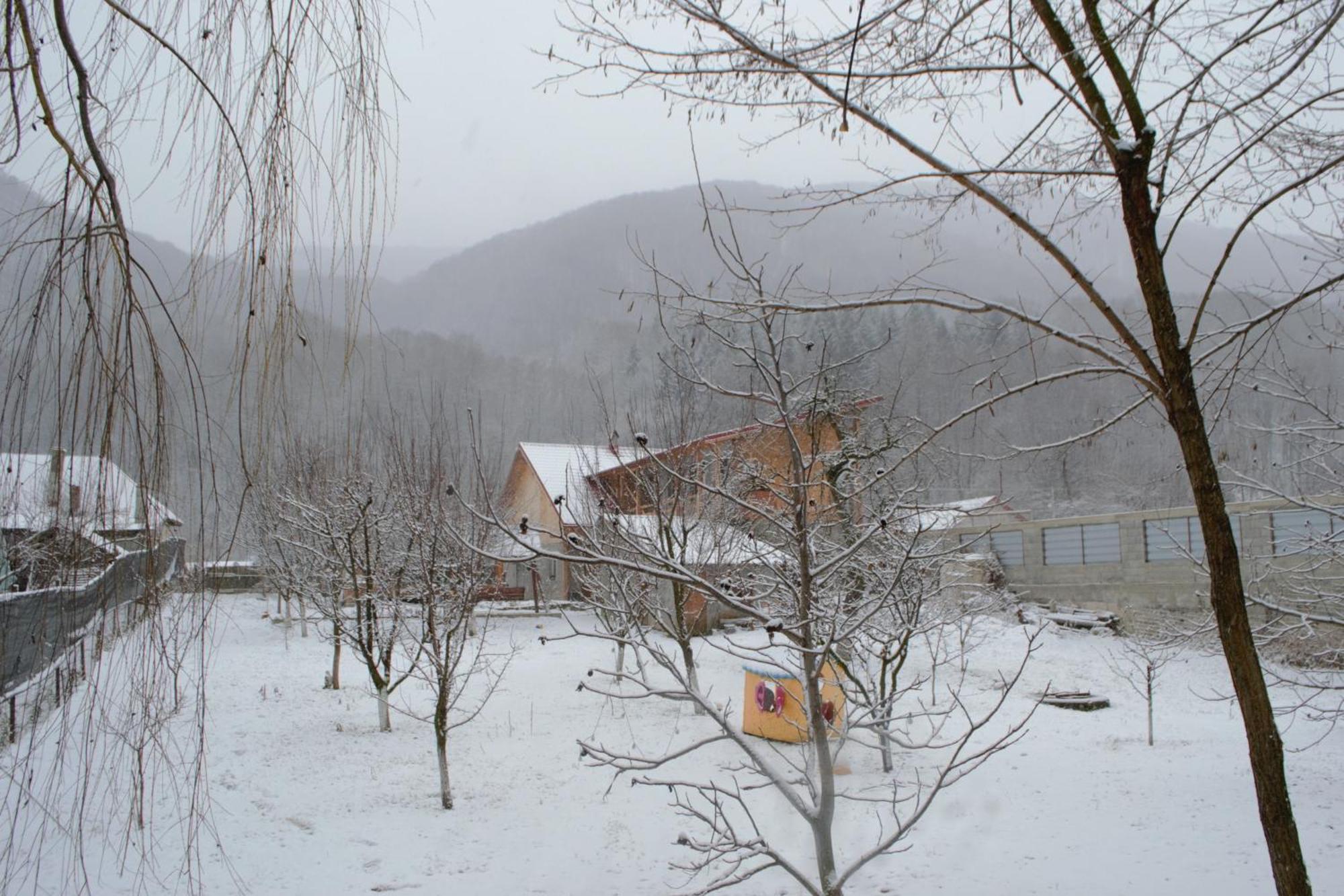 Casa Carbunaru Tîrgu Ocna 外观 照片